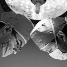 Slider image (3) FELIPE DE JESUS MEDINA TOSCANO